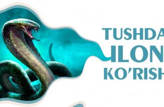 Tushda Ilon