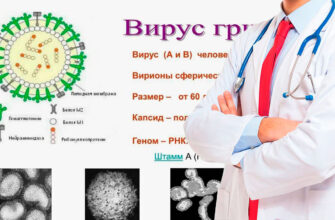 Grippning asosiy belgilari: Nimalarga e’tibor berish kerak?