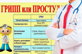 https://tush.su/wp-content/uploads/2024/09/1111-354.jpg