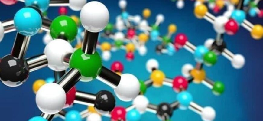 Hangi hormonlar vücudun istikrarlı işleyişine bağlıdır
